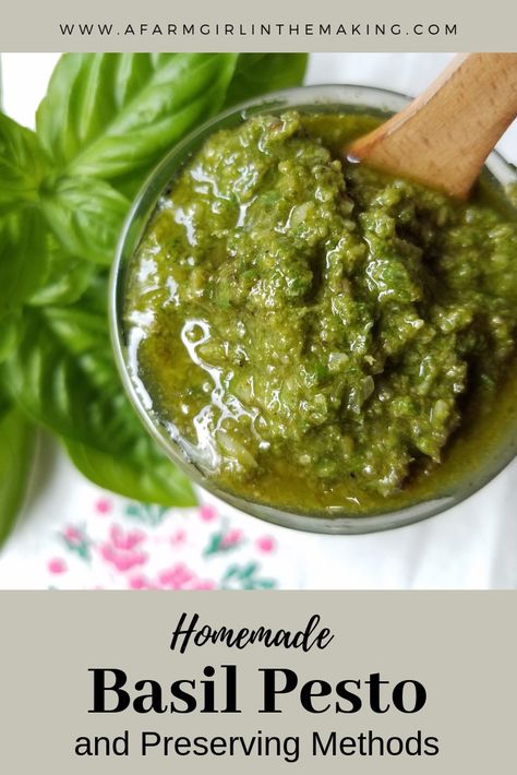 Homemade basil pesto can be consumed fresh or preserved to be enjoyed at a later time. This easy to make recipe will only take minutes to make, enjoy it! www.afarmgirlinthemaking.com Can Pesto Be Canned, Canned Pesto Recipe, Canning Pesto, Green Tomato Salsa, Homemade Basil Pesto, Fresh Basil Pesto, Basil Pesto Recipe, Homemade Pesto Recipe, Pesto Recipes