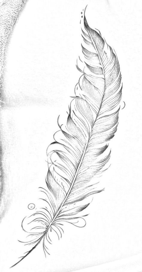 Feather Line Drawing, Feather Drawing Pencil, Feathers Drawing, Hat Burning, Feather Drawing, Cards Art, Feather Tattoos, Feathered Hairstyles, Line Drawing