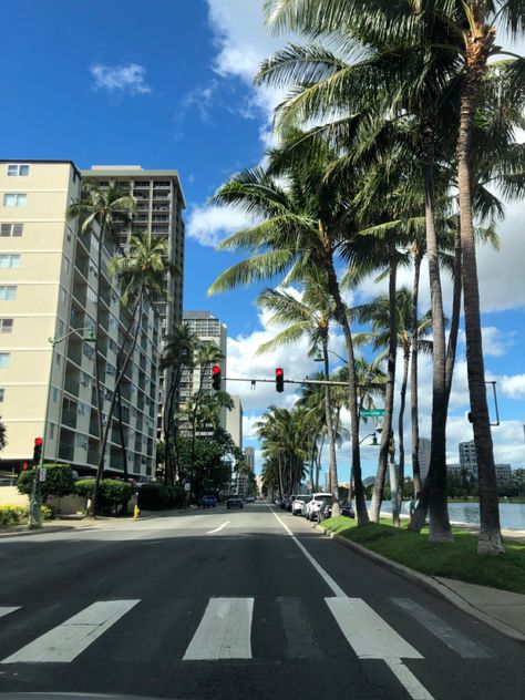 Street aesthetic Honolulu Hawaii Aesthetic City, Hawaii 2023, University Of Hawaii At Manoa, Pretty Sights, Honolulu City, Antonio Vivaldi, Cult Leader, Street Aesthetic, University Of Hawaii