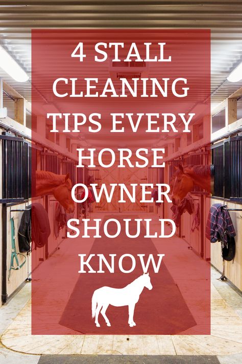 Ensuring your horse has a comfortable place to live is integral to keeping them happy and healthy. Check out our blog for 4 essential stall cleaning tips that every horse owner should know. Horse Stall Ideas Cheap, Horse Stalls Cheap, Easy Horse Stalls, Homestead Horses, Equine Property, Horse Stall Ideas, Horse Paradise, Stall Cleaning, Modern Equestrian