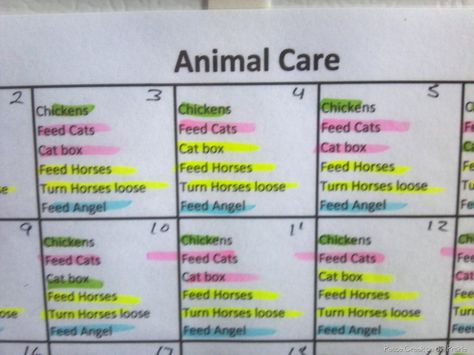 Chore Ideas, Farm Chores, Future Farms, Chore Charts, Chore List, Horse Feed, Chicken Feed, Household Organization, Cat Box