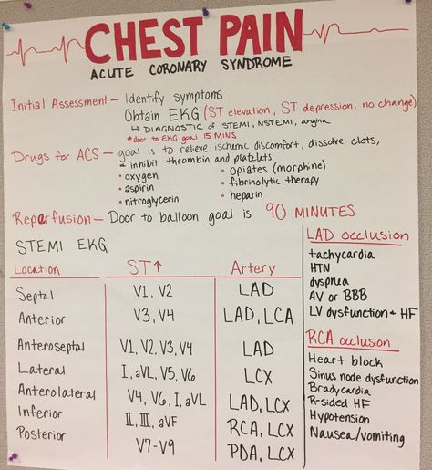 Pediatric Cardiac Nursing, Cardiac Assessment Nursing, Cardiac Conduction System Nursing, Cardiac Assessment, Acute Coronary Syndrome Nursing Notes, Cardiac Dysrhythmias Nursing, Acute Coronary Syndrome, Nursing School Life, Nurse Practitioner School