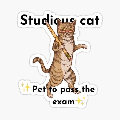 Cat Exam, Pass The Exam, Exam Season, Ace Pride, Stranger Things Season 3, Stranger Things Season, Lucky Charms, Lucky Cat, Orange Cat