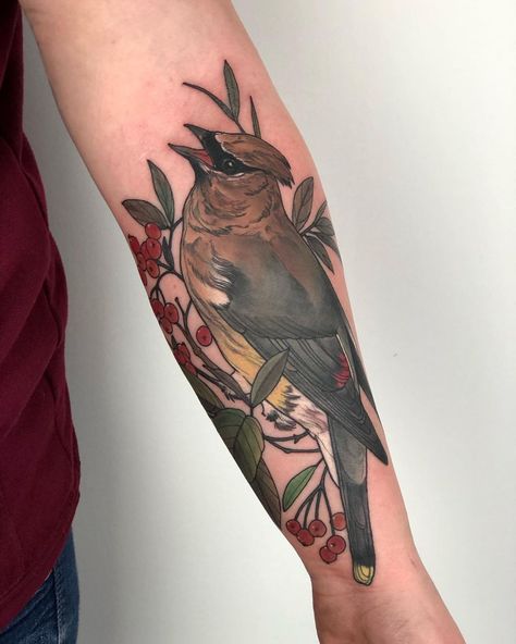 Cedar Waxwing Tattoo, Waxwing Tattoo, Cedar Waxwing, Bff Tattoos, Sleeve Tattoos For Women, Pattern Tattoo, Ink Sketch, Birds Tattoo, Tattoo Inspo