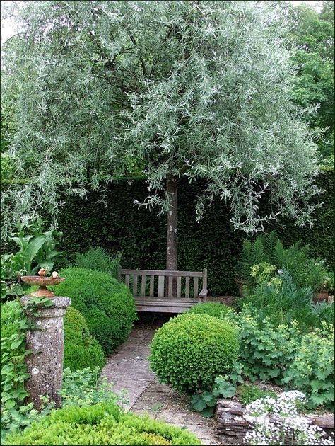 A private nook... Have Inspiration, The Secret Garden, Garden Seating, Small Garden Design, Gorgeous Gardens, Green Garden, Garden Cottage, Garden Bench, Garden Spaces