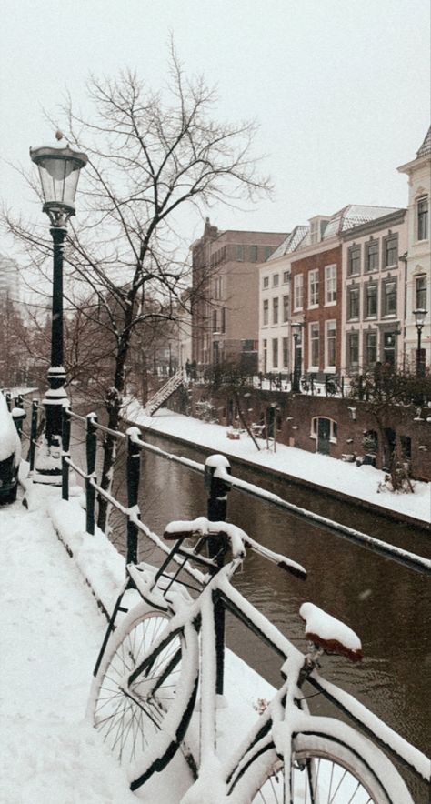 Netherlands amsterdam snow winter canal bike houses Netherlands Aesthetic Winter, Amsterdam Aesthetic Winter, Christmas Netherlands, Christmas In The Netherlands, Netherlands Winter, Amsterdam Winter, Abroad Study, Europe 2024, Winter Mood