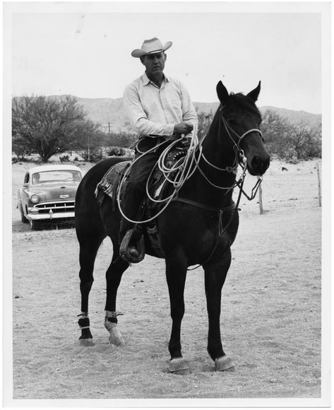 Cowboy Jess Goodspeed atop his horse Jeanne's Patsy. Cowboy Shooting, Ben Christensen, Cowboy On Horse, Girl And Horse, Herding Cattle, Uc Irvine, Cattle Drive, Clear Lake, The Cowboy