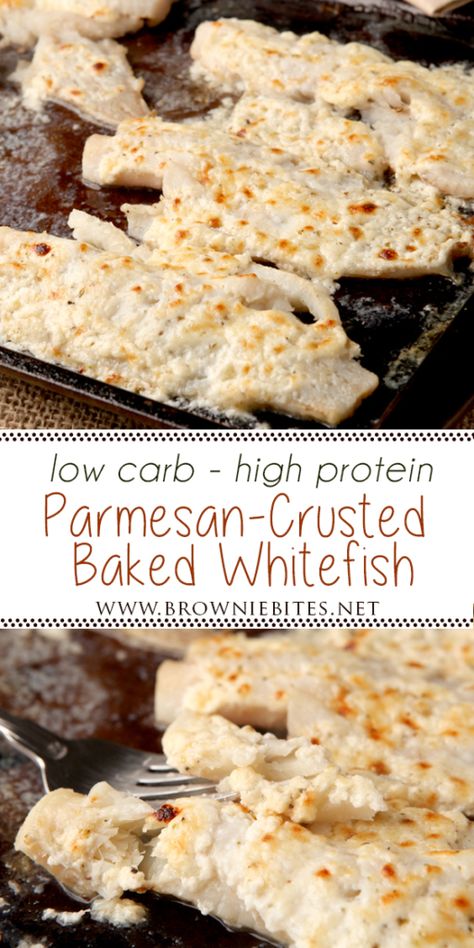 Low Carb Baked Parmesan Whitefish | Brownie Bites Blog Baked Whitefish, Low Carb Low Calorie, Fish Recipes Baked, Fish Dinner Recipes, Seafood Entrees, Healthier Choices, Fish Recipes Healthy, Cooking Seafood, Low Carb Baking