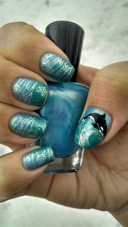 March 14, 2014 - Underwater nails featuring an orca Whale Nails Design, Whale Nail Designs, Alaska Nail Art, Orca Nails, Alaska Cruise Nails, Alaska Nails Designs, Underwater Nails, Whale Nails, Alaska Nails