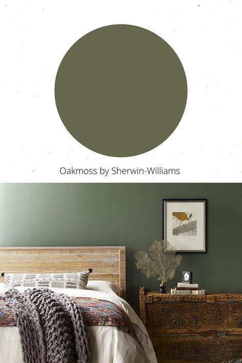 Dark Olive Accent Wall Bedroom, Moss Green And Black Bedroom, Olive Green Basement Walls, Earthy Green Accent Wall, Mossy Green Accent Wall, Olive Green Room Color Scheme, Olive Green Wood Furniture, Dark Olive Green Bedroom Ideas, Sw Olive Green Paint