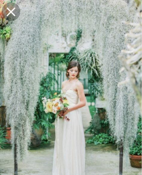 Moss Arch, Fifty Flowers, Manzanita Branches, Orchid Wedding, Orchids Garden, Artificial Orchids, Spanish Moss, Clear Glass Vases, Beautiful Centerpieces