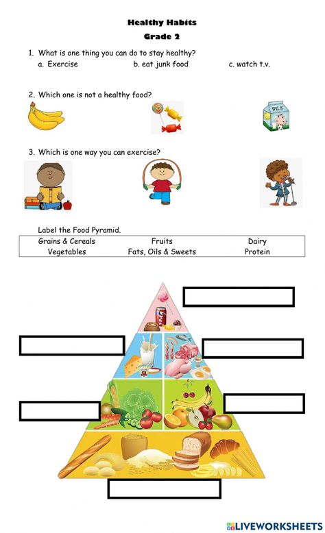 Healthy Habits, Food Pyramid, online worksheet for 2. You can do the exercises online or download the worksheet as pdf. Food Pyramid Kids Printables Worksheets, Food And Health Worksheet, Food Prymids Activity, Food We Eat Worksheet For Grade 1, Eating Habits Worksheet, Healthy Habits Worksheet, Food Pyramid Worksheet, Food Pyramid Kids, Healthy Habits Activities