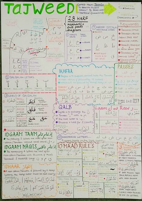 tajweed How To Read Quran, Visual Poster, Islam Lesson, Quran Tafseer, Islamic Kids Activities, Tajweed Quran, Learn Arabic Alphabet, Quran Surah, Noble Quran