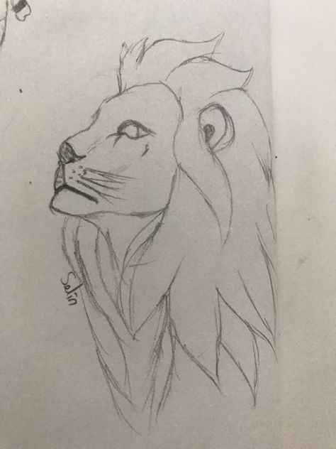 Asil aslan Coloring pages #coloringpages Coloring books #coloringbooks Coloring pages for kids #coloringpagesforkids Coloring pages for kids animals #coloringpagesforkidsanimals 1.722 Easy Lion Sketch, Lion Head Drawing Simple, Scaching Ideas, Loin Drawings, Lion Side Profile Drawing, Lion Sketch Pencil, Lion Sketch Simple, Drawing Ideas Lion, Lion Painting Easy