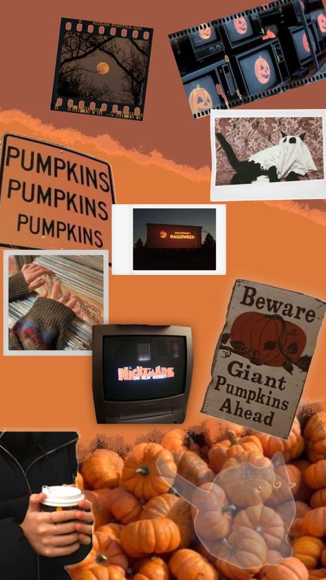 why are you so obsessed with halloween? #halloween #halloweenaesthetic #fall #fallaesthetic #autumn #autumnaesthetic Why Are You So Obsessed With Halloween, Halloween Aesthetic Tik Tok, Halloween Aesthetic Purple Orange, Halloween Whispers, Autumn Mood Meme, Fall Stuff, Halloween Halloween, Autumn Aesthetic, Halloween Themes