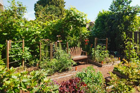 Here is a lovely vegetable garden with a seat for resting after a long day tending to the crops. You can sit here and enjoy the fruits and vegetables of your labor. Garden Sitting Area, Growing Tomato Plants, Growing Tomatoes In Containers, Container Vegetables, Backyard Vegetable Gardens, Vegetable Gardens, Planter Design, Tomato Garden, Vegetable Garden Design