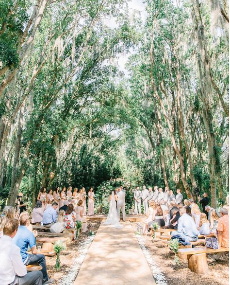 Wedding Venues Tampa Florida, Florida Spring Wedding, Garden Wedding Florida, Outdoor Florida Wedding, Wedding Venue Florida, Tampa Wedding Venues, Hunters Wedding, Rustic Barn Weddings, Princess Sarah