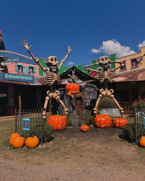 We had so much fun at yesterland park in canton Texas! Lots of things to do and see including pumpkins, flowers, petting zoo, hayrides, Halloween decorations, treats and shooting apples out of cannons. Scroll to the last picture to see the results of that 🍎 💥 🎃 👻. Have a spooky family day here fun for all ages. #halloween #pumpkin #pumpkinpatch #halloweenmilkshake #applecannon #canton #cantontexas #halloweentexas #texasfall #fall #fallfestival #fallfestivities #fallfestivities2024 #texashall... Canton Texas, Petting Zoo, Family Day, Fall Festival, Zoo Animals, Halloween Pumpkin, Pumpkin Patch, Apples, Pumpkins