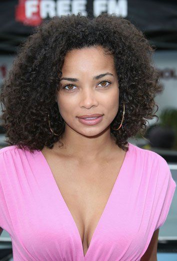 curly hairstyle ideas - wash n go House Of Payne, Rochelle Aytes, Kirsty Gallacher, Black Actresses, Tyler Perry, Women Cosmetics, Girl Celebrities, Hair Crush, Black Natural Hairstyles