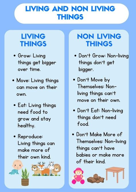 Living And Non Living Things Worksheets Grade 3, Living Things And Non Living Things Worksheet For Grade 1, Living Things Kindergarten, Living And Non Living Things Project, Living And Non Living Things Worksheets, Living Things And Non Living Things, Non Living Things, Living And Nonliving Things, English Pronouns