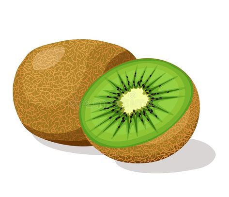 Kiwi Illustration Fruit, Kiwi Drawing, Kiwi Illustration, Fruit Challenge, Kiwi Vector, Fresh Illustration, Kiwi Design, Abc Song, Fruit Fresh