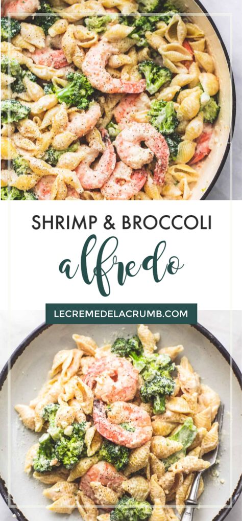 Shrimp Broccoli Noodles, Creamy Shrimp And Broccoli Pasta, Shrimp Alfredo Pasta With Broccoli, Shrimp Brocolli Pasta Recipes, Pasta Shrimp Broccoli Recipes, Pasta With Shrimp And Broccoli, Shrimp And Broccoli Pasta Recipes Easy, Shrimp Broccoli Alfredo Pasta, Broccoli And Shrimp Recipes