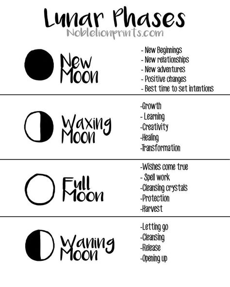 lunar-moon phases and meanings Witchcraft 101, Mother Moon, Lunar Witch, Witches Broom, Moon Spells, Witch Things, Magia Das Ervas, Lunar Phases, Broom Closet