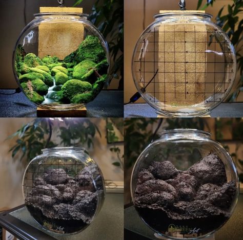 Mountain Terrarium, Aquarium Moss, Terrarium Mountain, Moss And Mushroom Terrarium, Terrarium With Resin Water, Bottle Terrarium, Fake Rock, Aquascape Design, Terrarium Containers