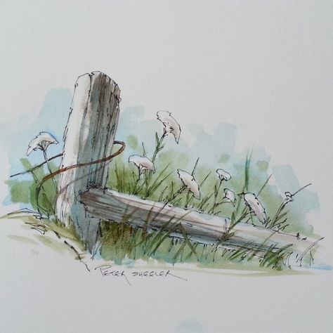 Line and Wash Watercolor of a Fence post and Wildflowers. | par Peter Sheeler Pen And Watercolor Art, Line And Wash Watercolor, Peter Sheeler, Line And Wash, Pen And Wash, Watercolor Tutorials, Watercolor Pictures, Watercolor Sketchbook, 수채화 그림