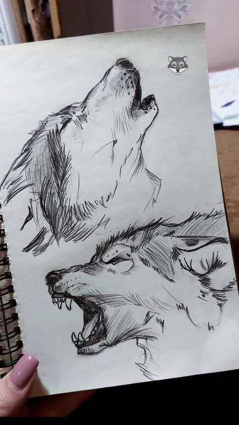 Art Front Facing Wolf Drawing, Wolf Drawing Aesthetic, Wolf Open Mouth Drawing, Kawaii Wolf Drawing, Wolf Side Profile Drawing, Wolf Ink Drawing, How To Draw Wolves, Wolf Tail Drawing Reference, Wolf Drawing Simple