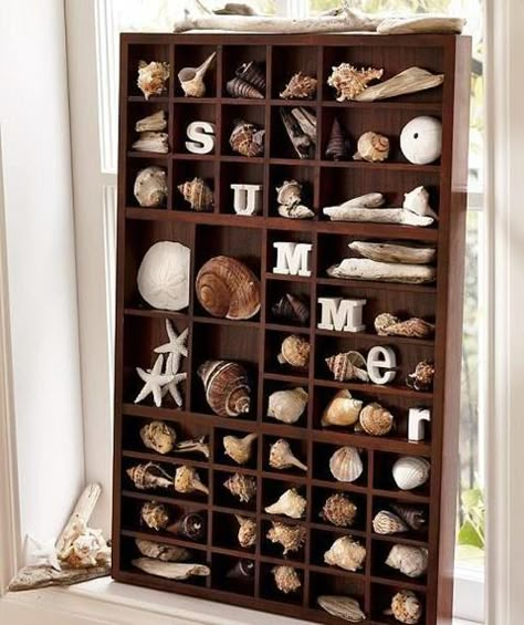 Displaying a seashell collection in a printer tray, adding letters that spell out summer. Printer Tray, Cubby Organizer, Seashell Collection, Seashell Display, Shell Display, Printers Drawer, Art Coquillage, Seashell Projects, Deco Nature