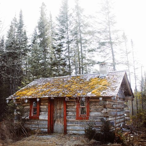 Jack Roberts Alaska Cabin, Tiny House Rentals, Mountain Architecture, Country Style Interiors, Wood Cabin, Natural Homes, Off Grid Cabin, Mountain Living, Tiny House Movement