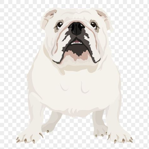 English Bulldog Cartoon, Sticker Transparent Background, Dog Bulldog, Bulldog Clip, Sticker Transparent, Png Aesthetic, Png Graphics, Love Illustration, Pattern Images