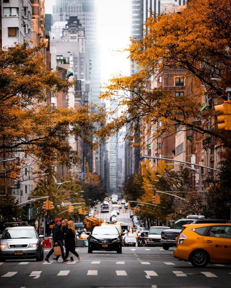 Travelling Abroad, Fall City, Emergency Evacuation, I Love Nyc, Millions Of Dollars, Madison Avenue, Better Day, City Photography, Autumn Photography