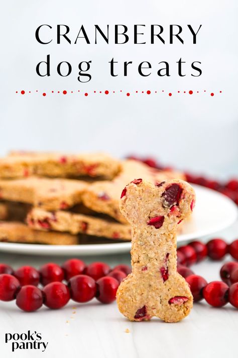 Meatballs For Dogs, Cranberry Dog Treats, Dog Biscuit Recipe, Cranberry Treats, Holiday Dog Treats, Dog Cookie Recipes, Pantry Recipe, Dog Treats Recipe, Pet Treats Recipes