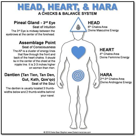 Head, Heart, & Hara: A Checks & Balance System – Bear With Me Hara Chakra, Soul Seat, Polarity Therapy, Chi Energy, Metaphysical Spirituality, Past Life Regression, Spirit Science, Bear With Me, Chakra System