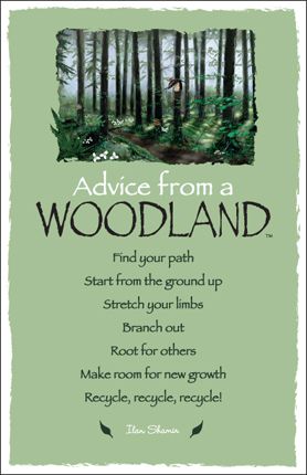 Advice from a woodland... Advice From A Tree, Advice Quotes, Nature Quotes, Spirit Guides, Lessons Learned, Good Advice, The Forest, A Tree, Inspire Me