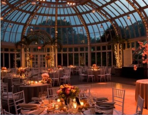 Wedding reception dinner under glass dome, feminine  and romantic - Brooklyn Botanical Gardens Glass Wedding Venues Receptions, Night Wedding Reception Indoor, Wedding Party Venues Indoor, Glass Garden Wedding, Pretty Wedding Venues Indoor, Wedding Venue Night, Glass Wedding Venues, Centerpieces Lights, Pretty Venues