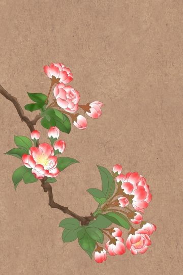 Chinese Ancient Painting, Chinese Painting Flowers, Begonia Flower, Chinese Traditional Art, Chinese Flowers, Asian Flowers, Chinese Flower, Korean Painting, Chinese Art Painting