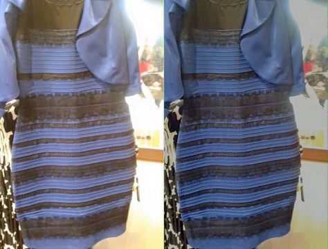 36 optical illusions explained Optical Illusion Photos, Amazing Optical Illusions, Optical Illusion Dress, Cool Optical Illusions, Gold And Black Dress, Optical Illusions Art, Instyle Magazine, Illusion Dress, Team Blue