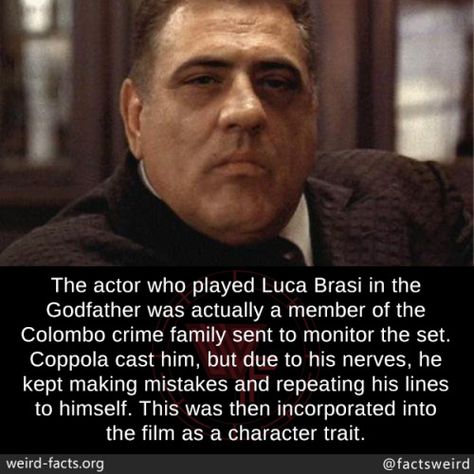 Weird Facts The Godfather Wallpaper, Godfather Quotes, Math Tables, Mafia Gangster, Wise Guys, Unbelievable Facts, Movie Facts, Random Facts, Nerd Alert