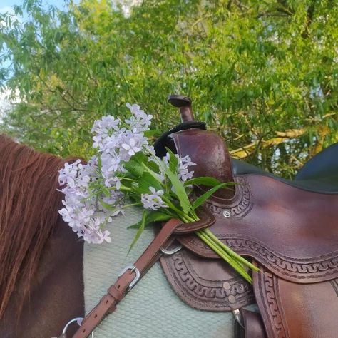 Earthy Nature Aesthetic, Colorful Western Aesthetic, Cottage Cowgirl Aesthetic, Western Summer Aesthetic, Saddle Aesthetic, Nature Fairy Aesthetic, Soft Country Aesthetic, Fall Aesthetic Brown, Creatures Aesthetic