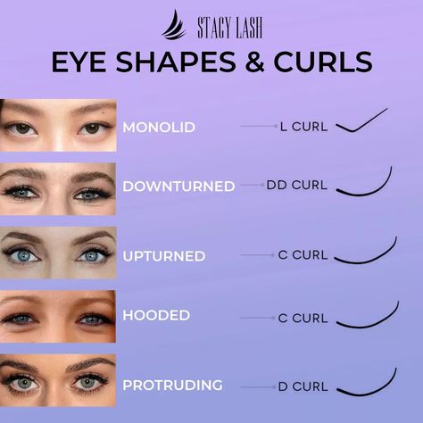 Different Types Of Lash Curls, Different Lash Curl Types, Mixing Lash Curls, Lash Eye Shape, Eyelash Extensions Length Chart, Lashes Curl Types, Different Eye Shapes Lash Extensions, Round Eye Lash Extensions Map, Eyelashes For Different Eye Shapes