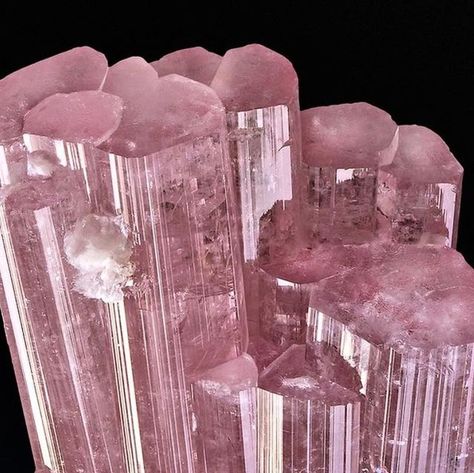 Khushall Fine Minerals on Instagram: "This compact pink tourmaline cluster from Paprok is exceptionally impressive and lovely in person! The beautiful pink color paired with superb luster and rich architecture makes this an outstanding and extremely attractive specimen! Size: 7.5 x 5.3 × 4 cm Copyright @saphiraminerals #tourmaline #pinktourmaline #watermelontourmaline #tourmalinejewelry #khushallgems #tourmalinestone #minerals_wholesale #mineralswholesale #khushalljewellery #quartzcollecting # Pink Tourmaline Aesthetic, Rich Architecture, Fine Minerals, Tourmaline Jewelry, Color Pairing, Tourmaline Stone, Rock Hounding, Minerals And Gemstones, Watermelon Tourmaline