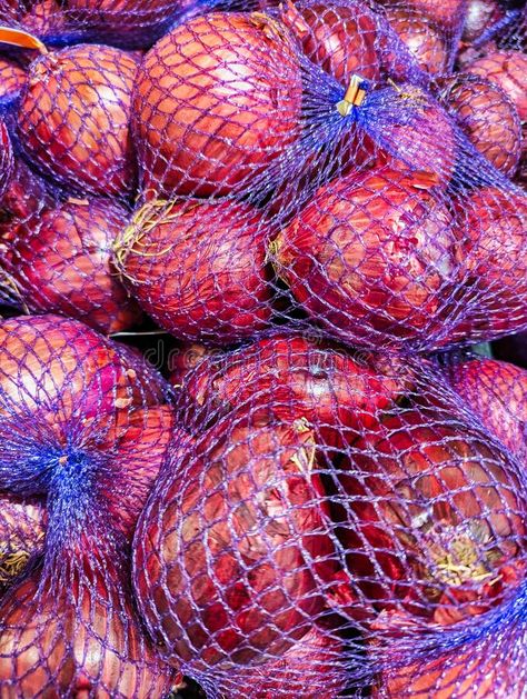 Many Red Onions in Purple Mesh Bags stock photo Vegetable Shop, Purple Onion, Vector Nature, Mesh Bags, Bags For Sale, Shop Bags, Red Onions, Mesh Netting, Fresh Fruits And Vegetables