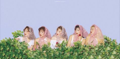 Redvelvet Concept Photo, Red Velvet Computer Wallpaper, Velvet Photoshoot, Red Velvet Wallpaper, To Do App, Computer Wallpaper Hd, Red Velvet Photoshoot, Velvet Aesthetic, Velvet Wallpaper