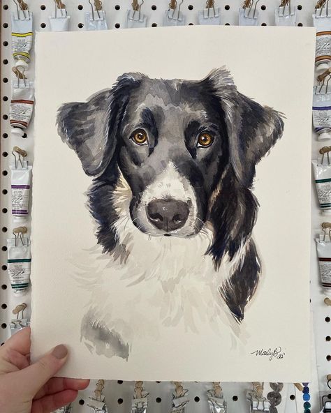 Dog Drawing Watercolor, Black Dog Watercolor, Dog Painting Tutorial, Cat Art Aesthetic, Dog Watercolor Painting, Pet Portrait Paintings, Watercolor Pet Portraits, Dog Painting, Watercolor Dog