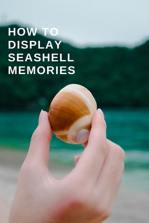 What do you do with all seashells when you return from vacation? There are so many ways to display your seashell memories. Ways To Display Shells, What To Do With Seashells From Vacation, Seashells Decor Ideas, Shell Display Ideas, Sea Shell Display Ideas, Seashell Display Ideas, Displaying Shells, Seashell Decorations, Seashell Diy