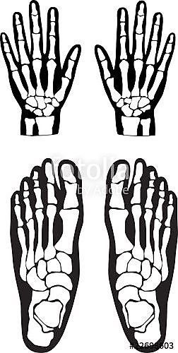 Costume Template, Skeleton Template, Body Skeleton, Feet Drawing, Skeleton Pattern, Den Mrtvých, Skeleton Drawings, Skeleton Svg, Skeleton Hand Tattoo