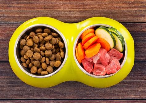 FDA Update to DCM Investigation: What We Know | PrimalPetFood Organic Dog Food, Homemade Cat Food, Raw Pet Food, Diy Dog Food, Raw Diet, Dog Nutrition, Best Homemade Dog Food, Best Dog Food, Food Out